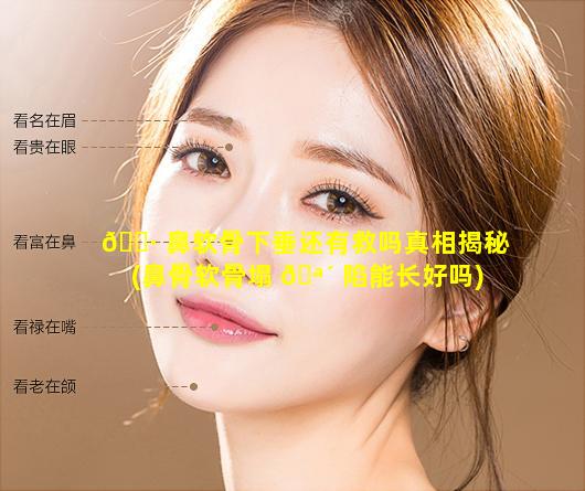 🌷 鼻软骨下垂还有救吗真相揭秘(鼻骨软骨塌 🪴 陷能长好吗)